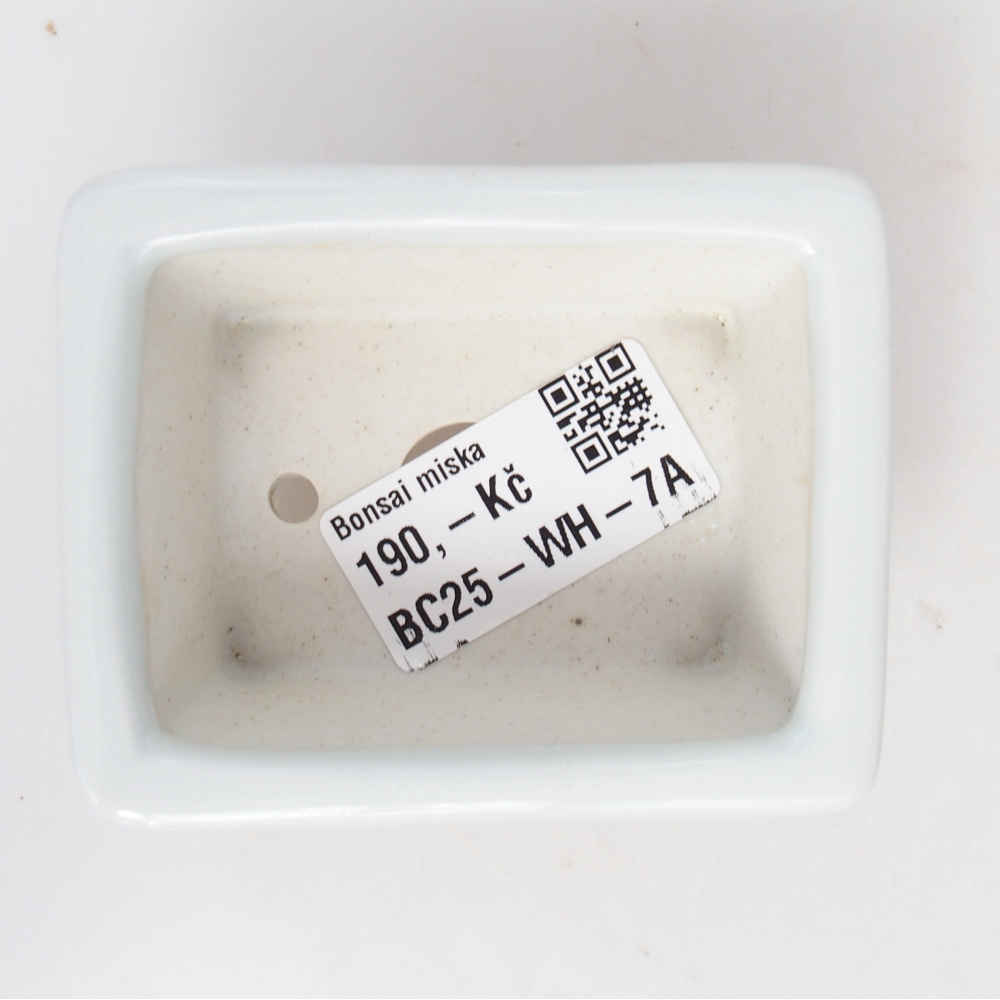 Mini bonsai tál 8 x 6 x 3 cm, fehér