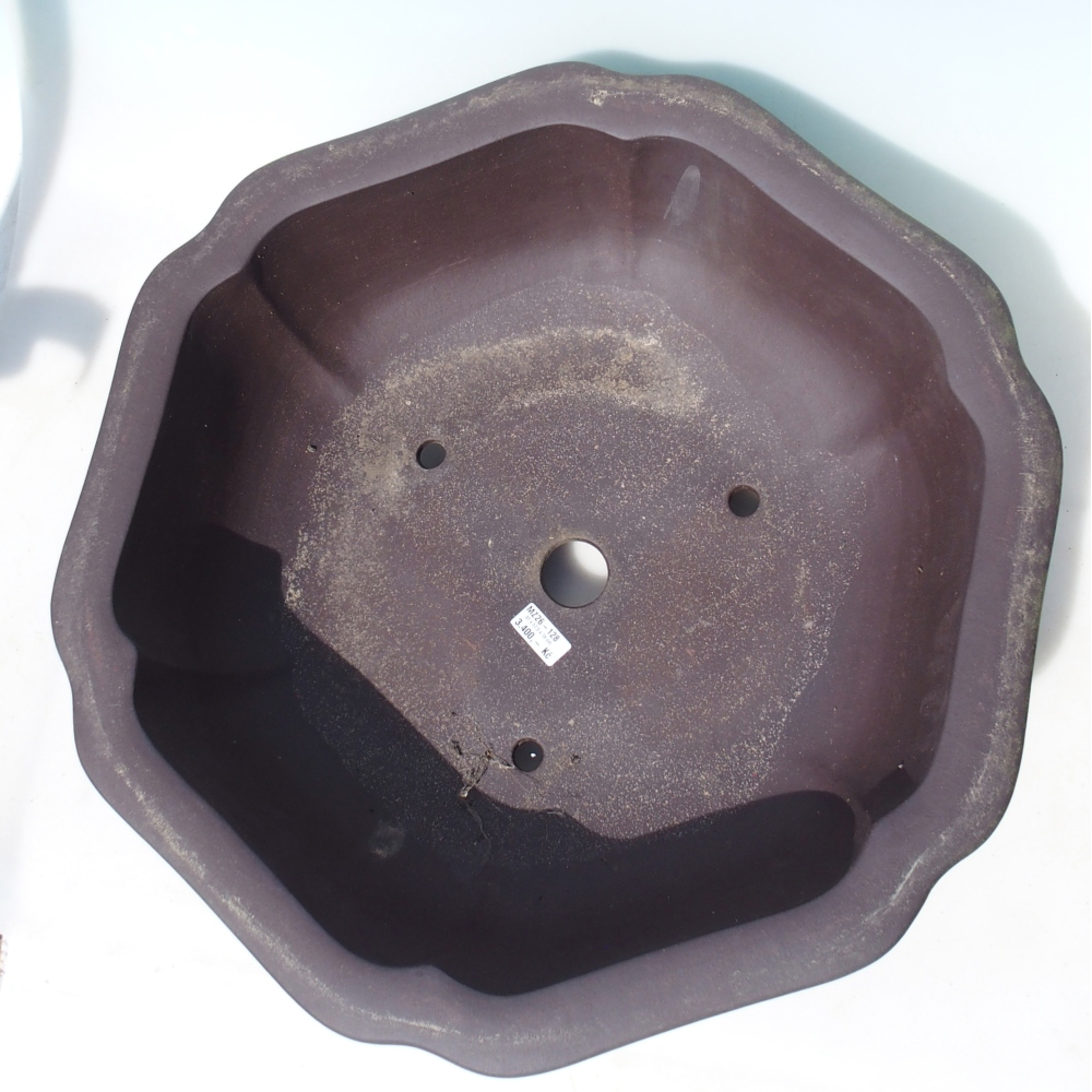 Bonsai tál 61 x 57,5 x 18 cm - barna