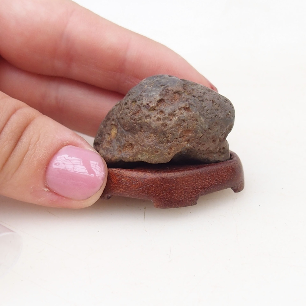 Suiseki - Kő DAI-val (fa alapon)