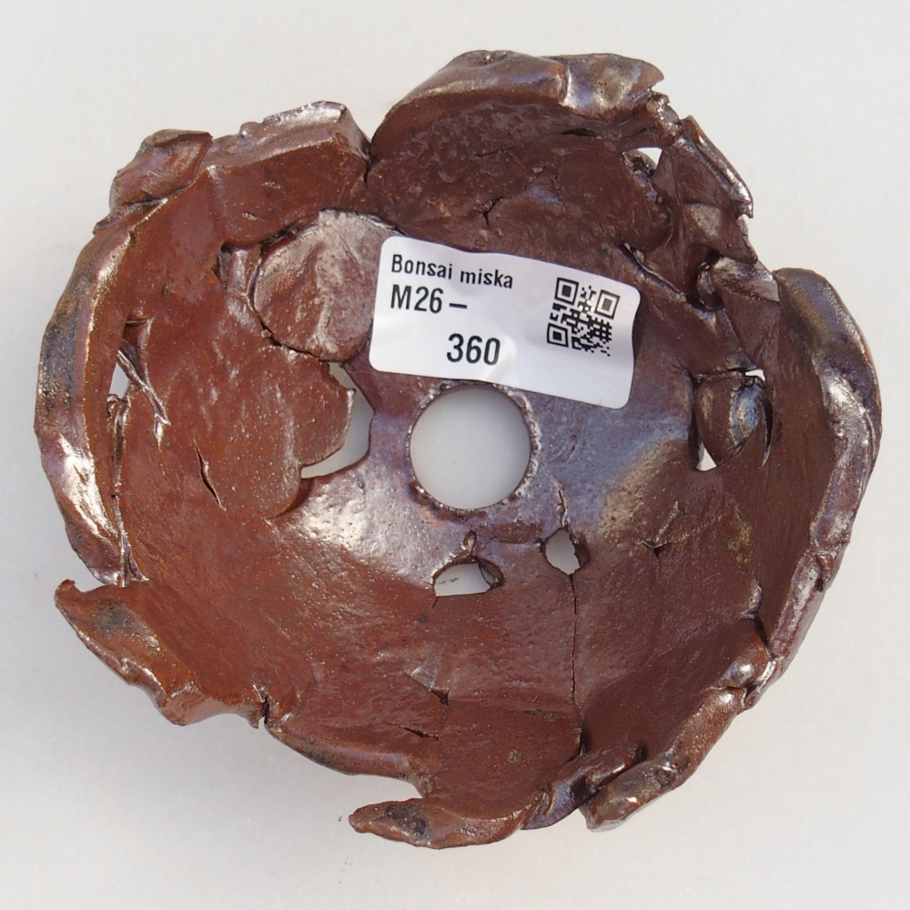 Kerámia kagyló 10 x 10 x 5 cm , barna színű