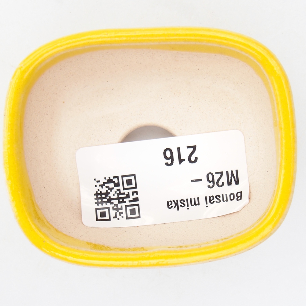 Mini bonsai tál 6 x 5 x 2,5 cm, sárga