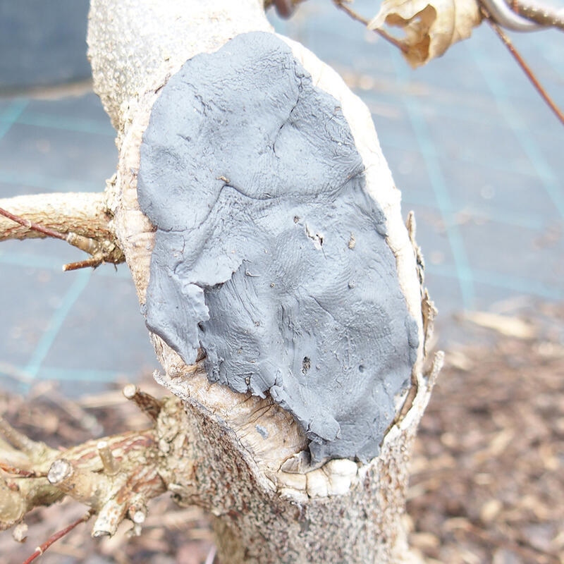 Cu-pasta 500 g tűlevelű növényekhez