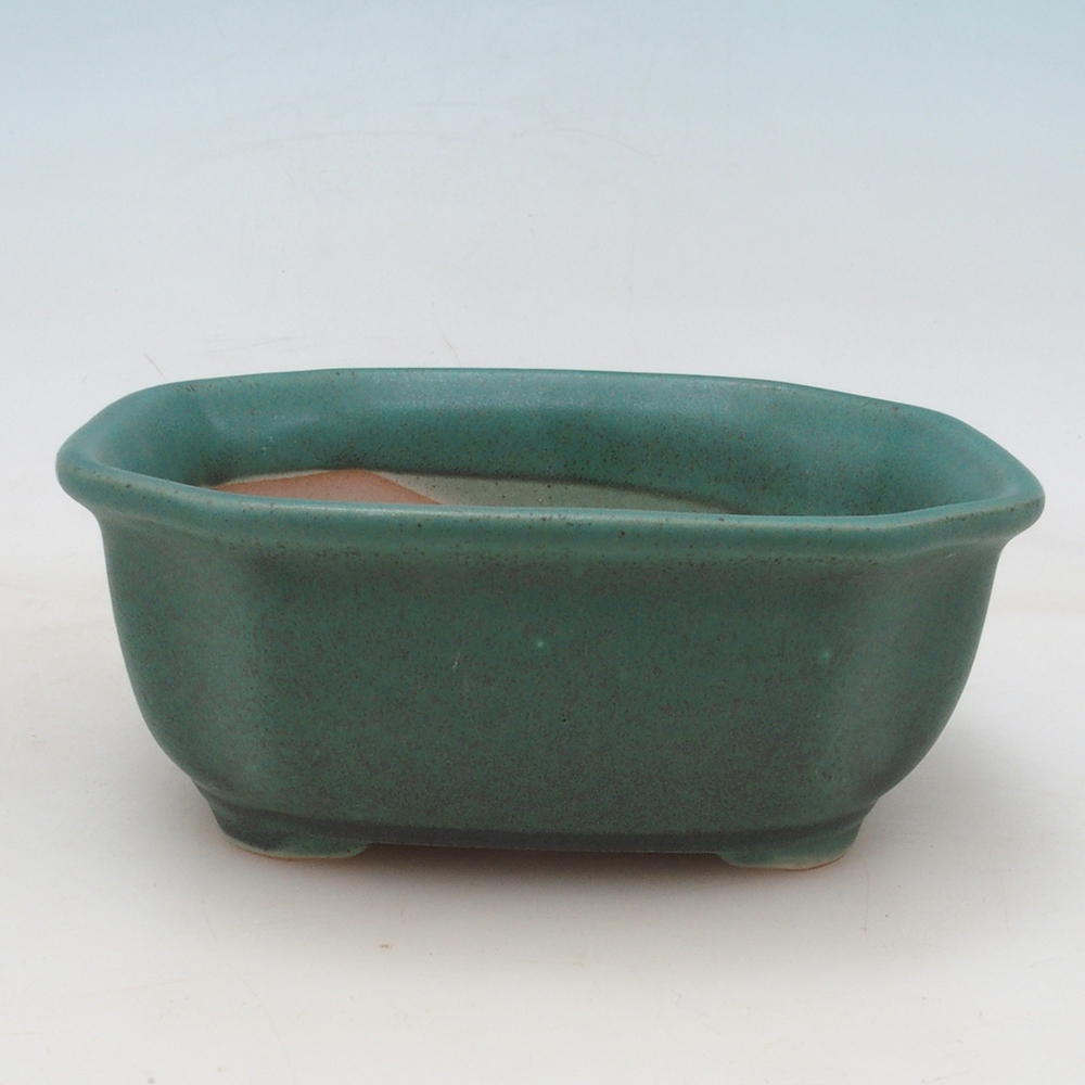 Bonsai tál + csészealj H32 - zöld