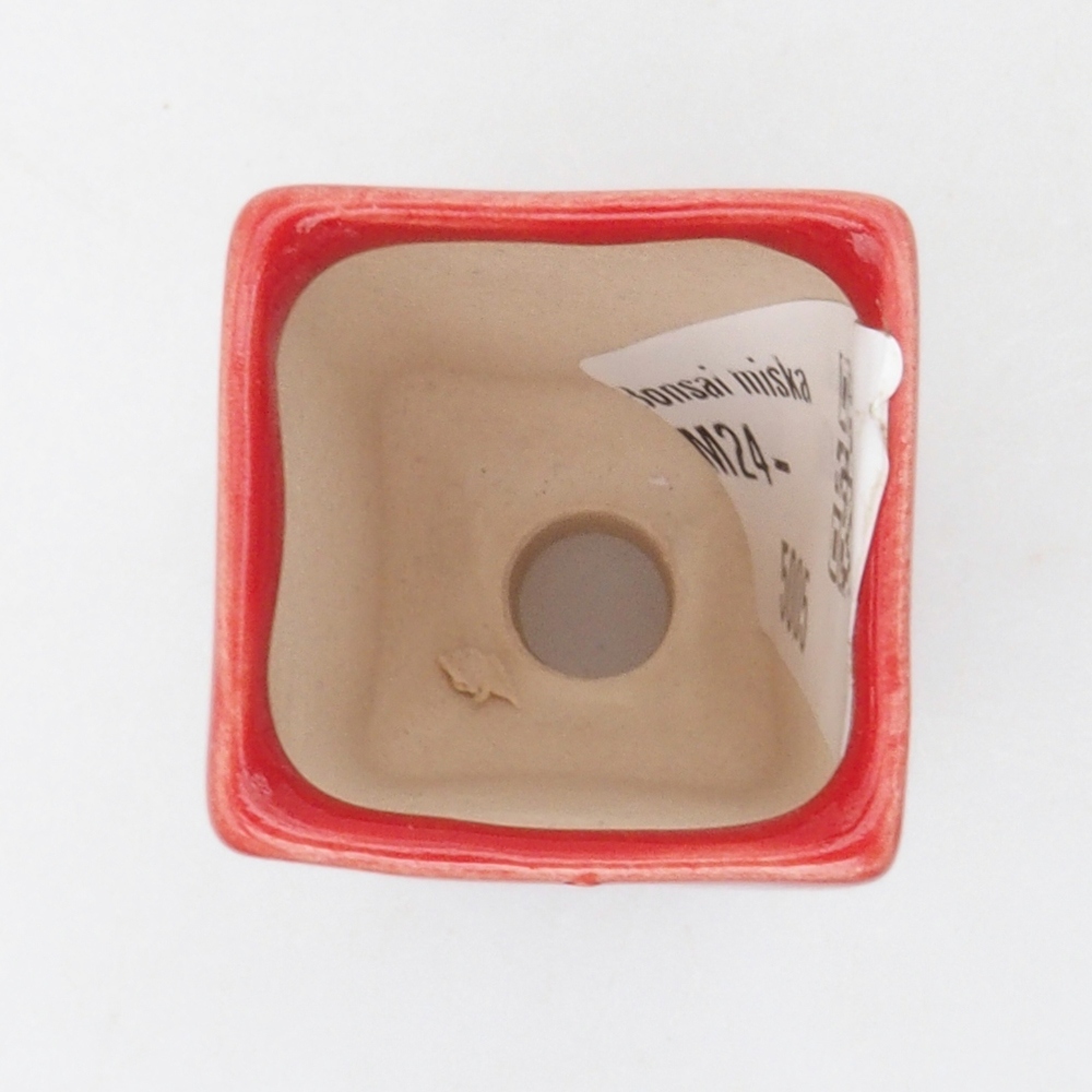 Mini bonsai tál 3 x 3 x 5,5 cm, piros színben