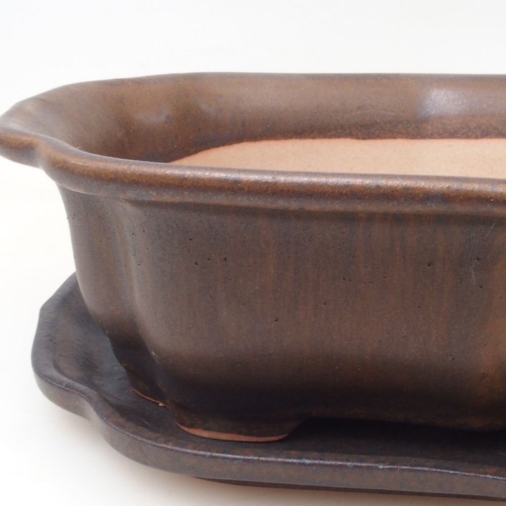 Bonsai tál + csészealj H51 - 18x14x5 cm - barna