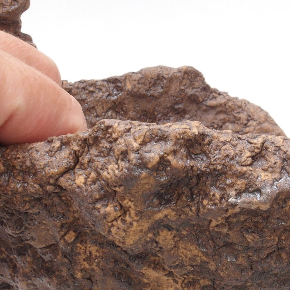 Kerámia kagyló 16 x 16 x 16 cm , barna színű