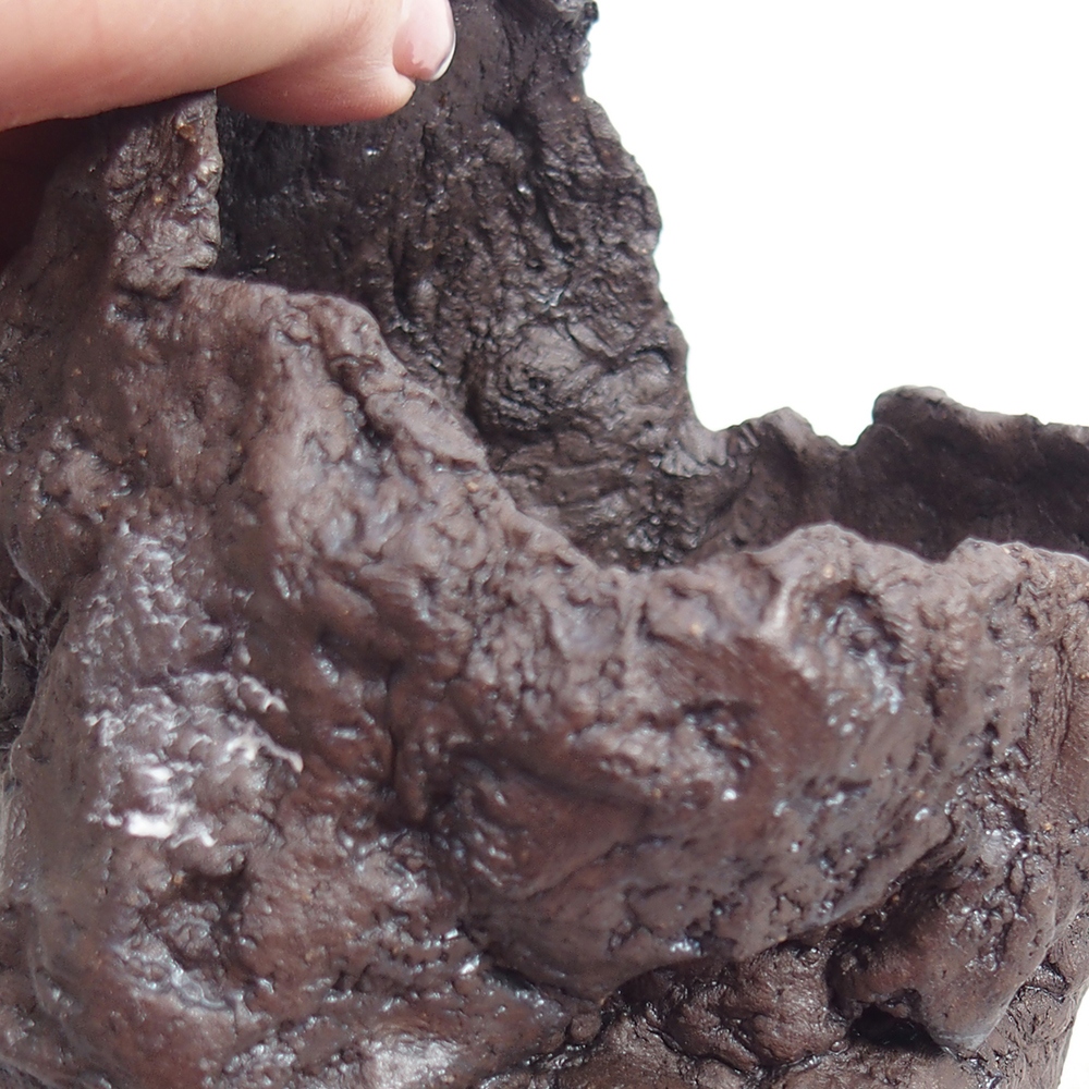 Kerámia kagyló 11 x 10 x 14 cm , barna színű