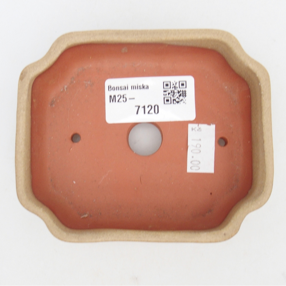 kerámia bonsai tál 10 x 8,5 x 2,5 cm, bézs színben