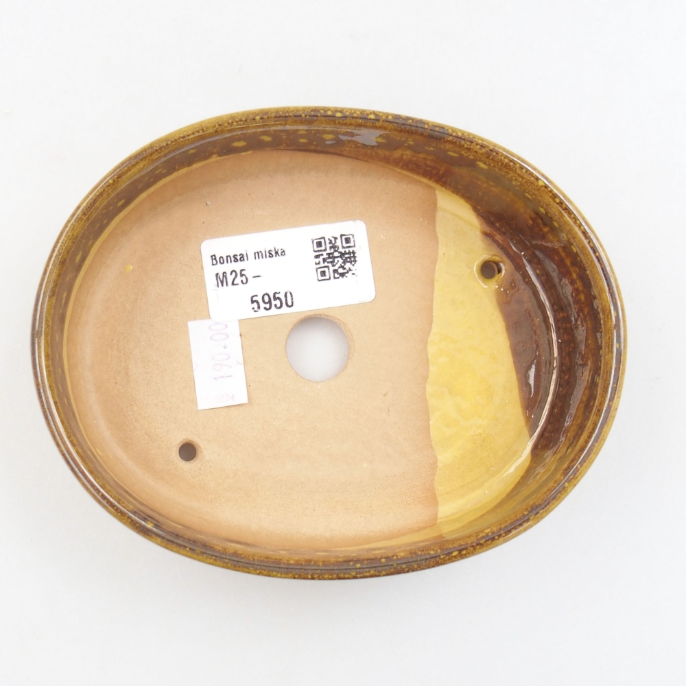 kerámia bonsai tál 22 x 17 x 5 cm, zöld