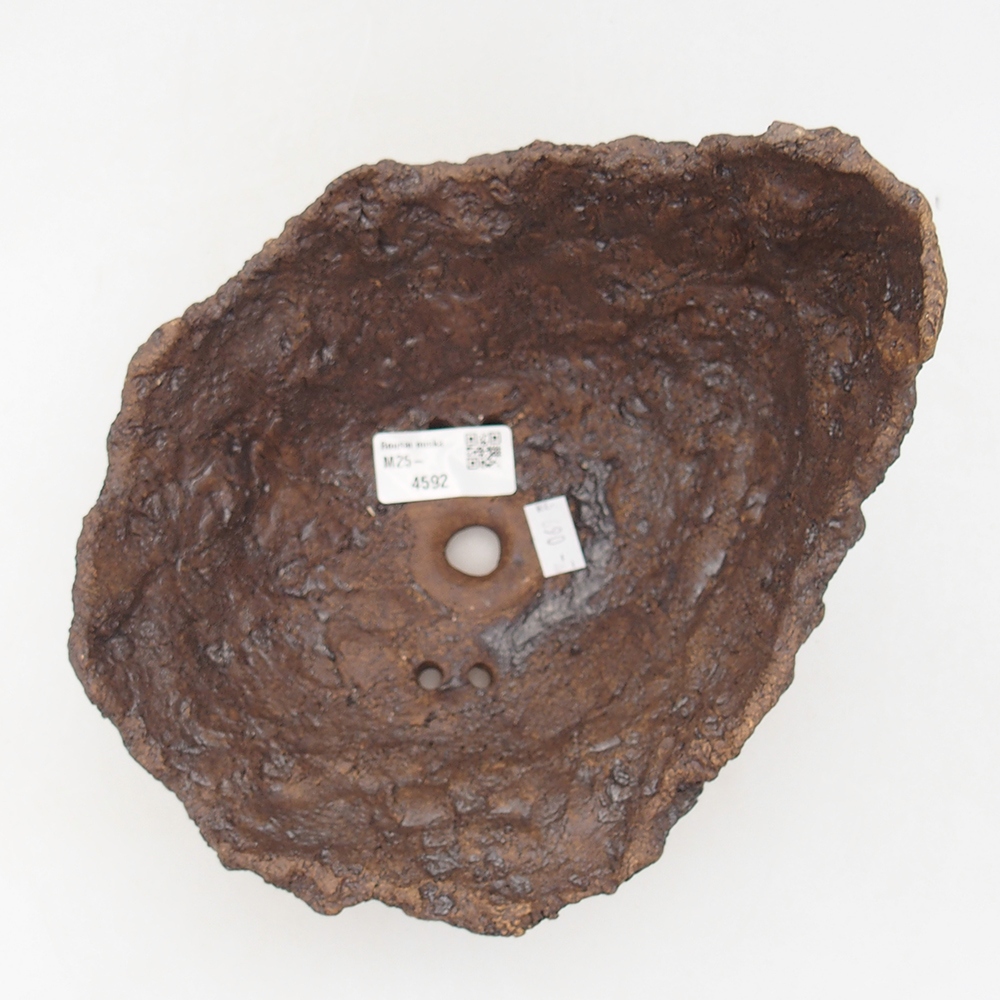 Kerámia kagyló 18 x 17,5 x 16 cm , barna színű