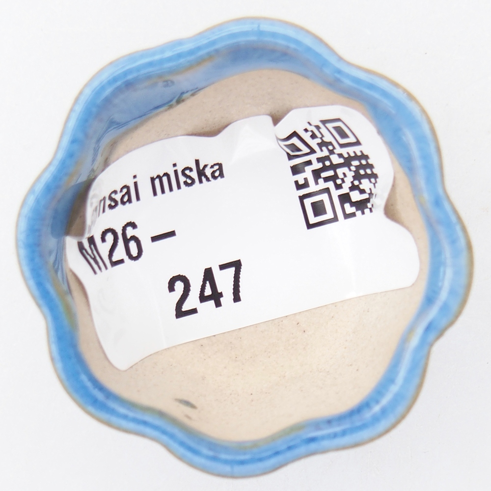 Mini bonsai tál 4 x 4 x 2 cm, kék