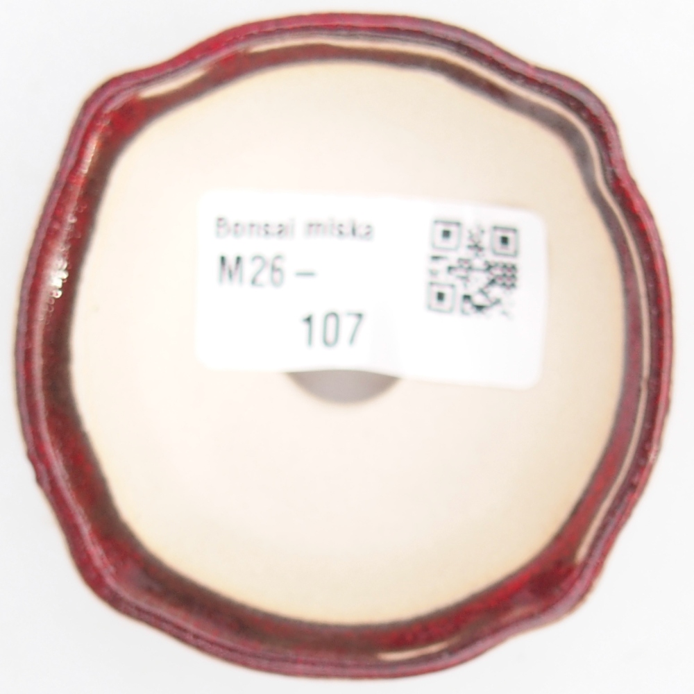 Mini bonsai tál 6,5 x 6,5 x 3 cm, piros színben