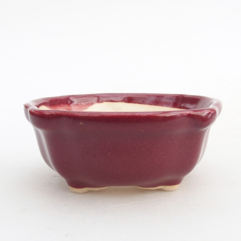 Mini bonsai tál 6,5 x 6,5 x 3 cm, bordó színben