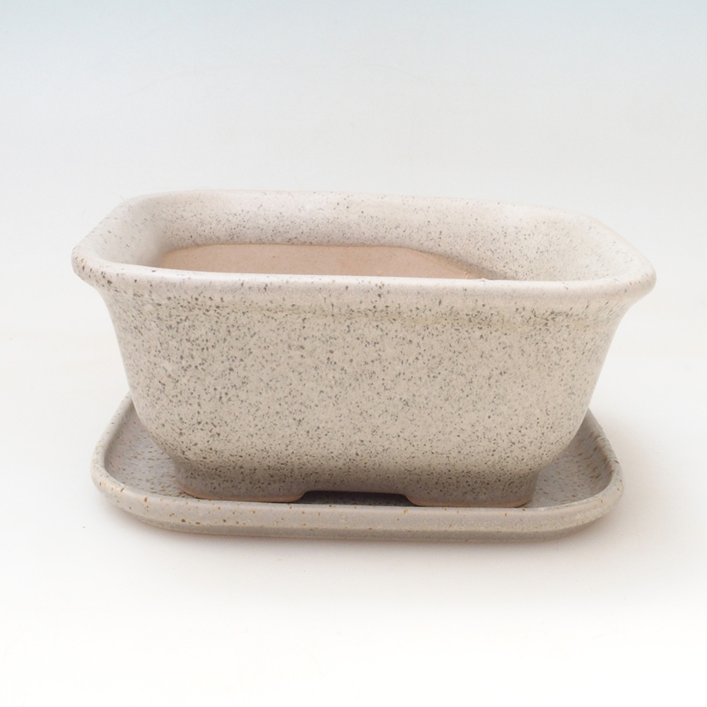Bonsai tál + csészealj H38 - 12x10x5,5 cm. - bézs színű
