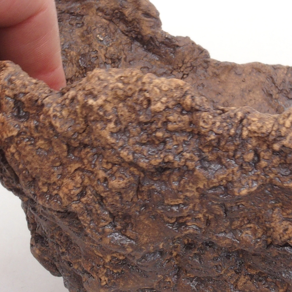 Kerámia kagyló 13,5 x 12 x 13,5 cm , színe barna