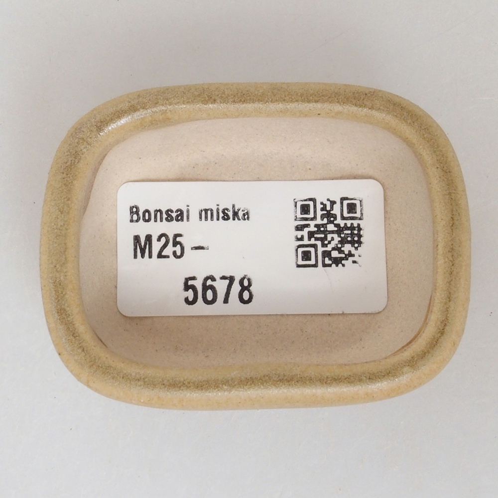 Mini bonsai tál 5,5 x 4 x 2 cm, barna
