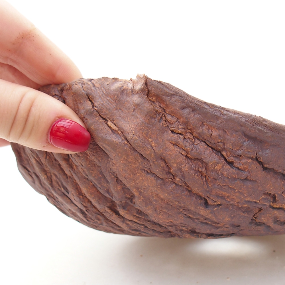 Kerámia kagyló 19 x 17 x 7 cm , színe barna