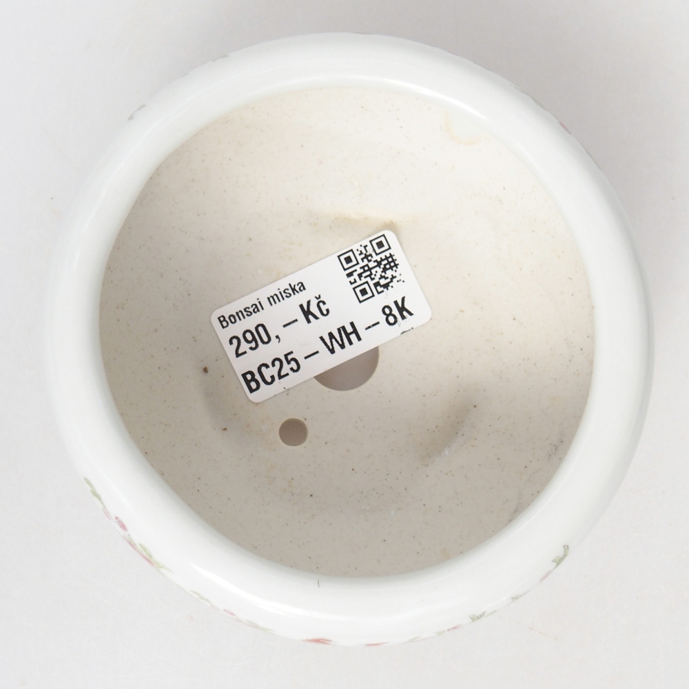 kerámia bonsai tál 10 x 10 x 5 cm, fehér színben