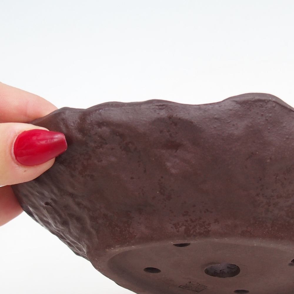 Kerámia kagyló 16 x 14,5 x 4 cm , színe barna