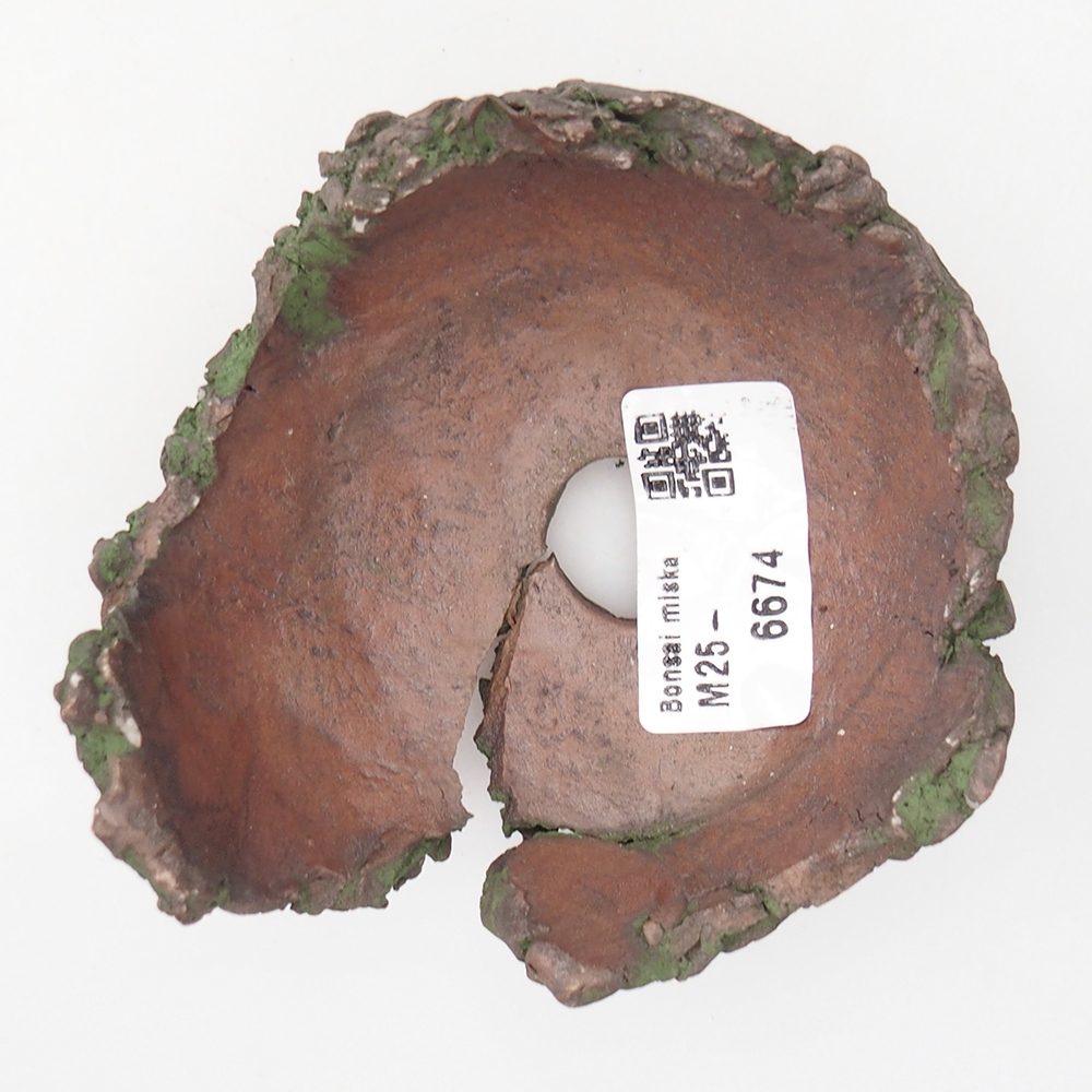 Kerámia kagyló 9 x 9,5 x 5,5 cm , zöld színű