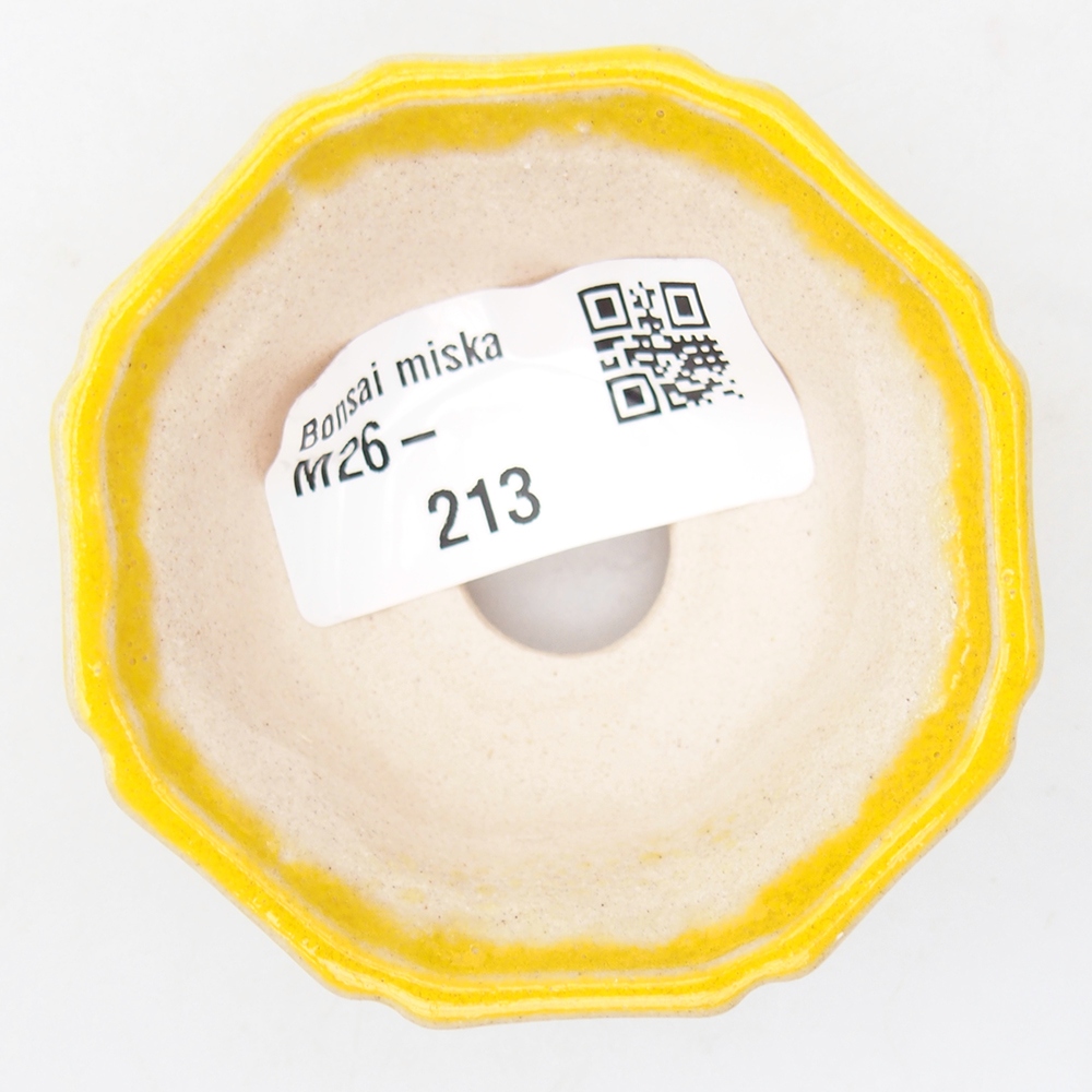 Mini bonsai tál 6 x 6 x 2,5 cm, sárga