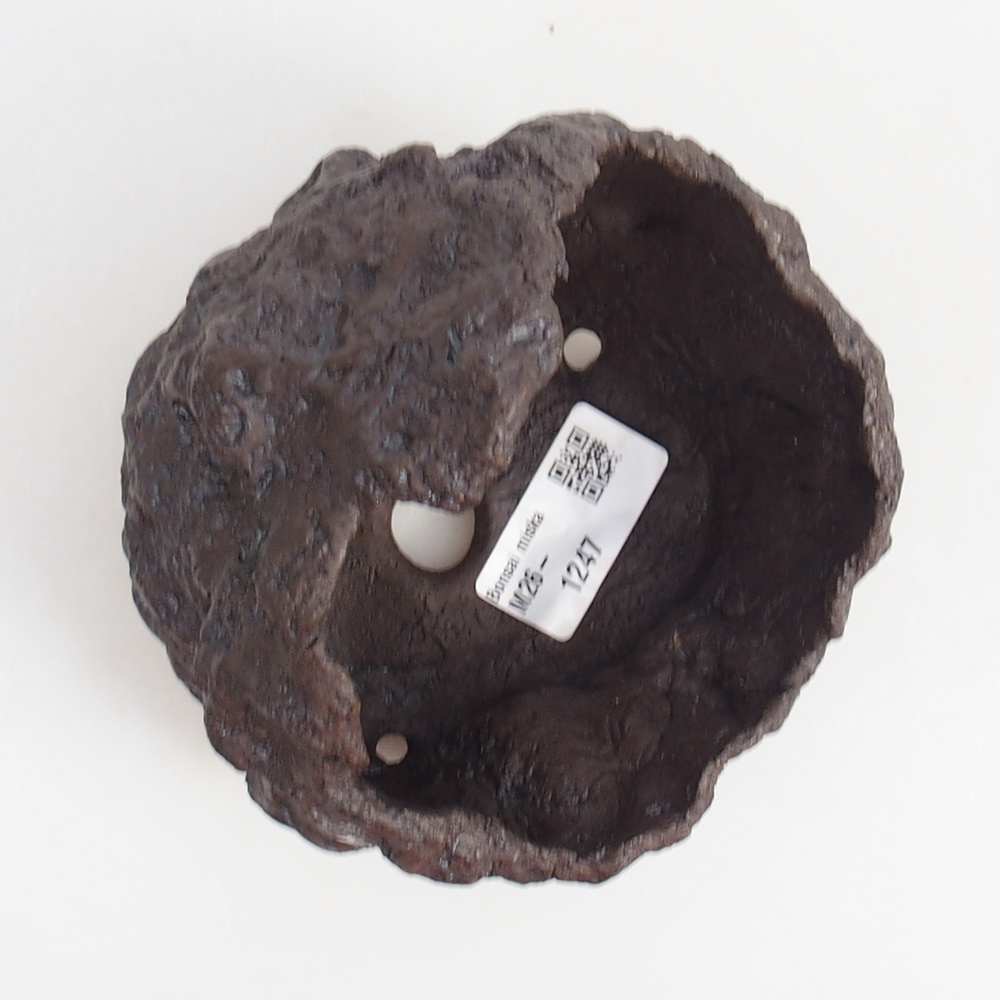 Kerámia kagyló 11 x 10 x 14 cm , barna színű