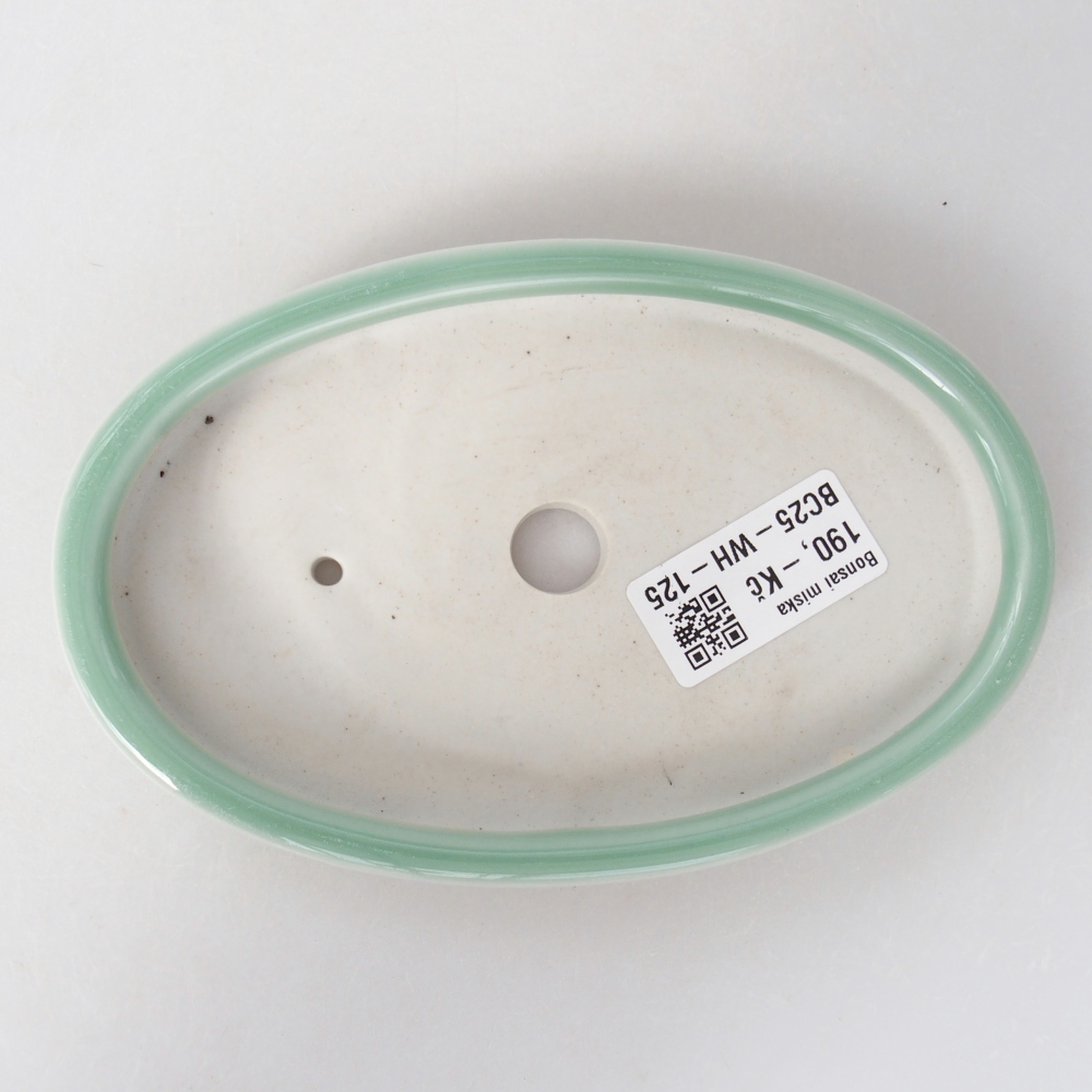 kerámia bonsai tál 15,5 x 10 x 2 cm, zöld