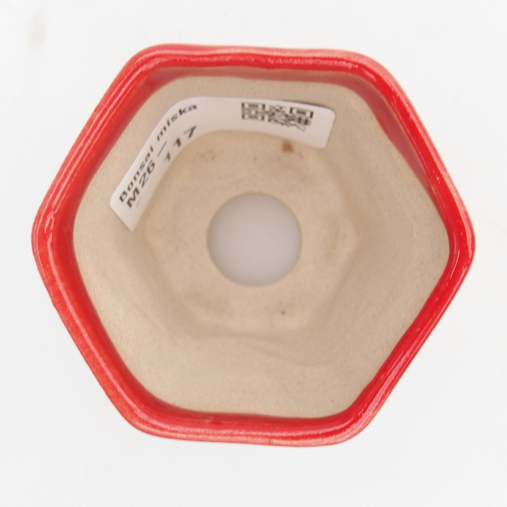 Mini bonsai tál 5,5 x 5 x 5 cm, piros színben