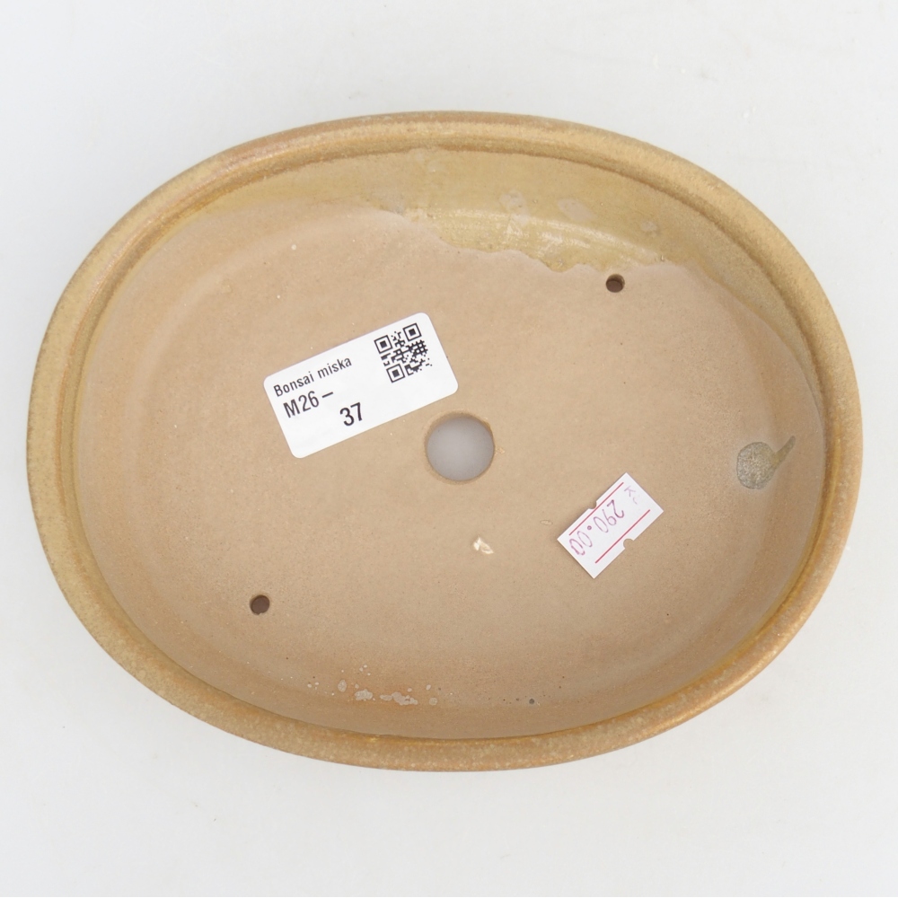 kerámia bonsai tál 17 x 14 x 4 cm, bézs színben