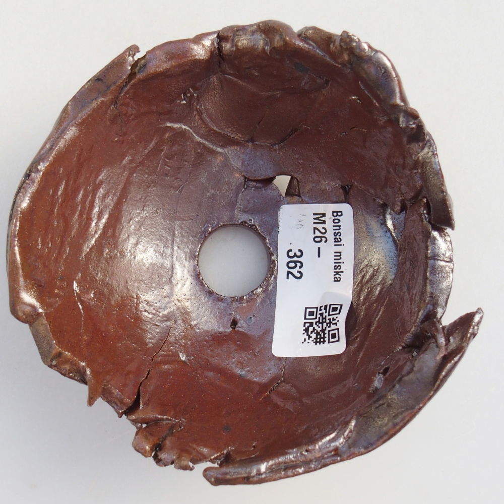 Kerámia kagyló 10 x 10 x 6 cm , barna színű