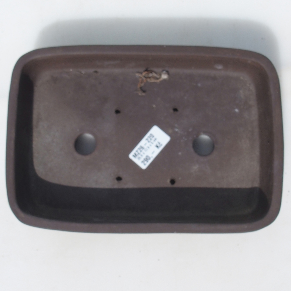 Bonsai tál 25,5 x 17,5 x 5 cm nyírfa barna