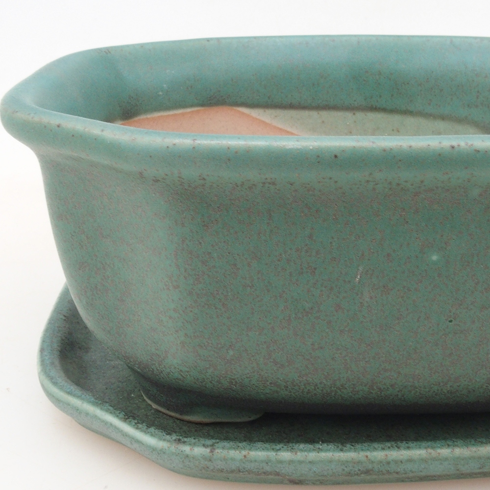 Bonsai tál + csészealj H31 - zöld