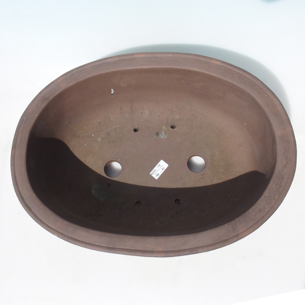 Bonsai tál 52,5 x 38,5 x 18 cm - barna