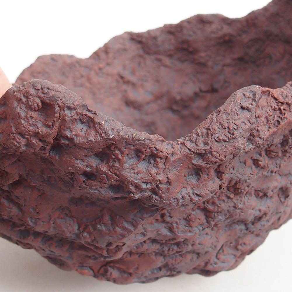 Kerámia kagyló 19 x 15 x 14 cm , barna színű