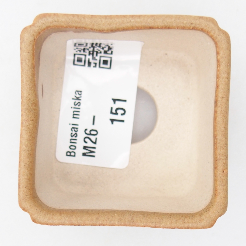 Mini bonsai tál 5 x 5 x 3 cm, barna