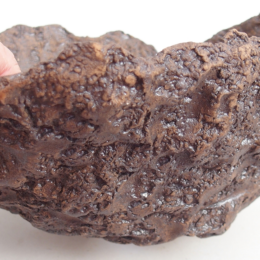 Kerámia kagyló 19 x 15 x 14 cm , barna színű