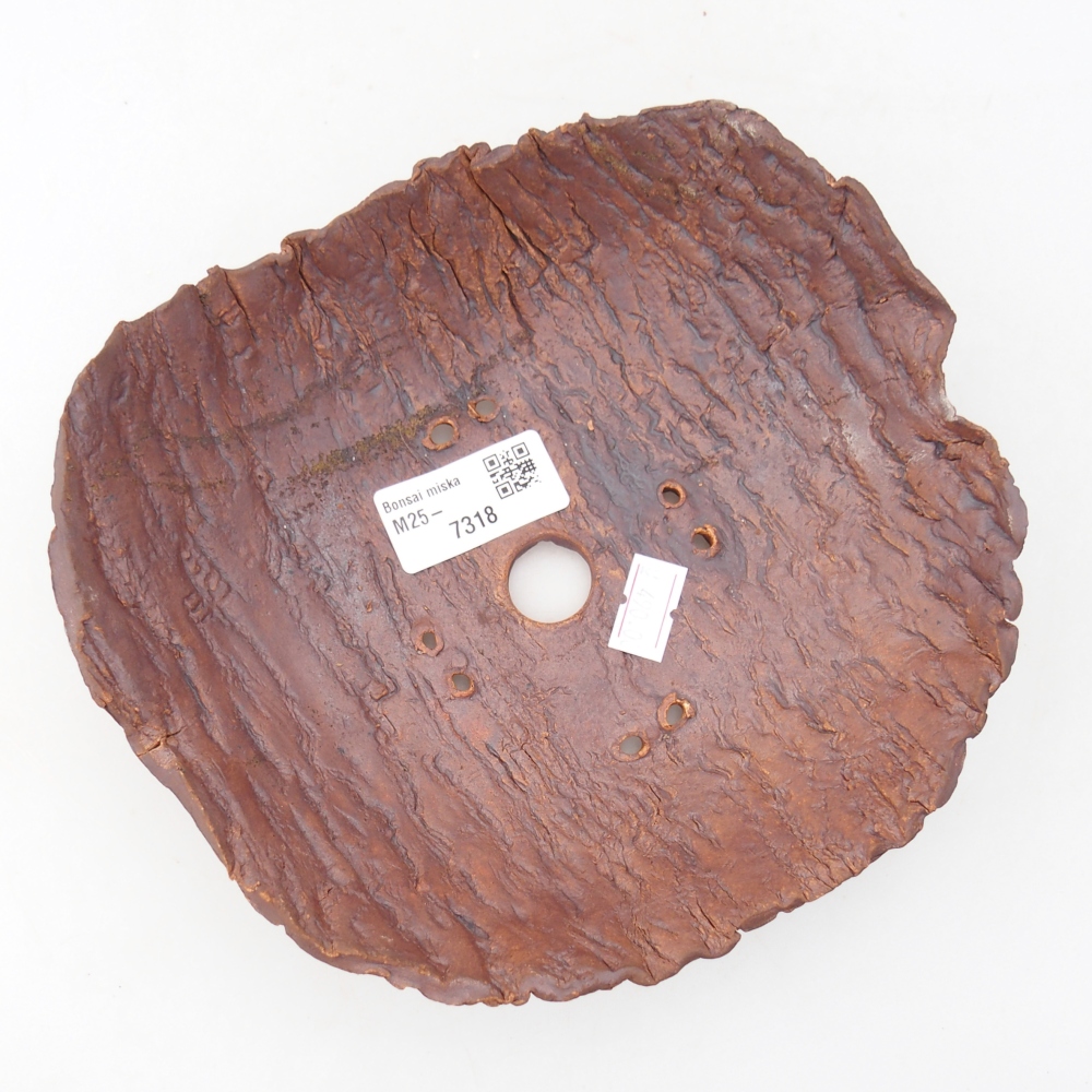 Kerámia kagyló 19 x 17 x 5 cm , színe barna