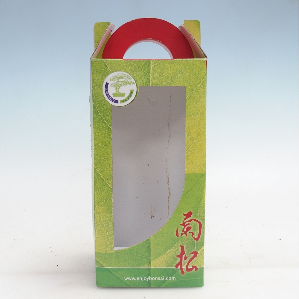 Ajándék bonsai doboz - papír