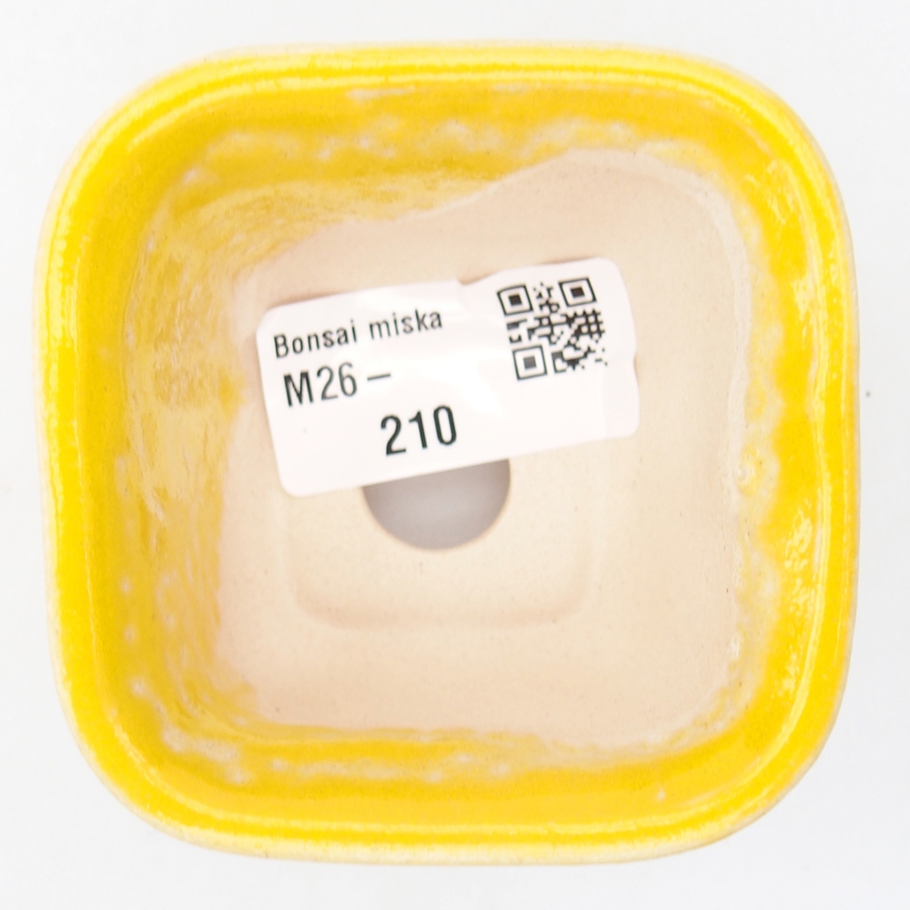 Mini bonsai tál 6,5 x 6,5 x 4,5 cm, sárga