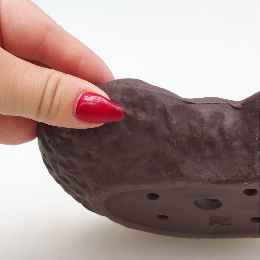 Kerámia kagyló 17 x 12 x 3 cm , színe barna