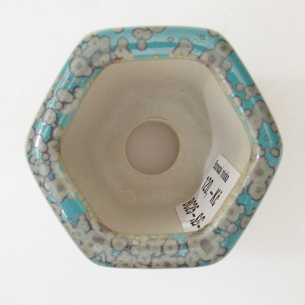 Tál 5,5 x 5 x 5,5 cm szín kék