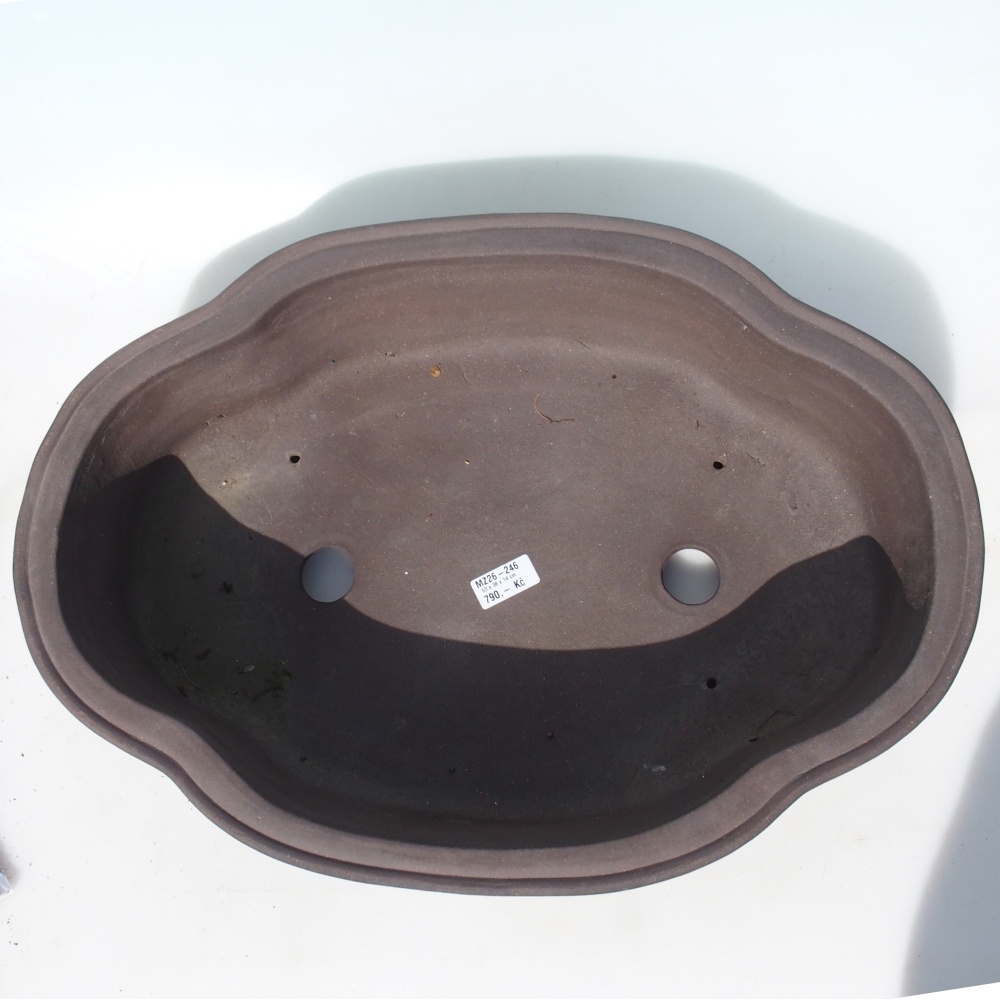 Bonsai tál 53 x 38 x 14 cm - barna