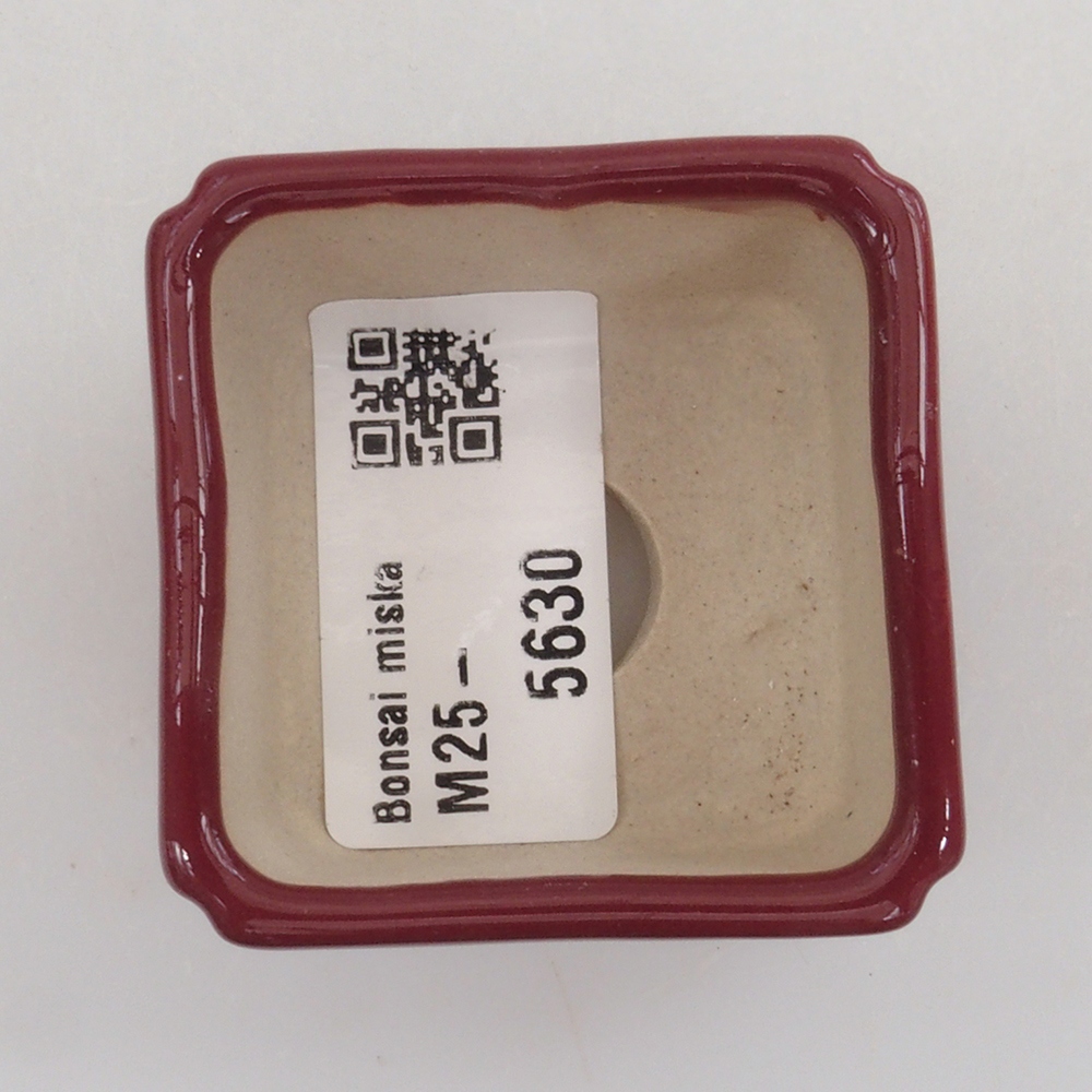 Mini bonsai tál 4,5 x 4,5 x 3 cm, bordó színben