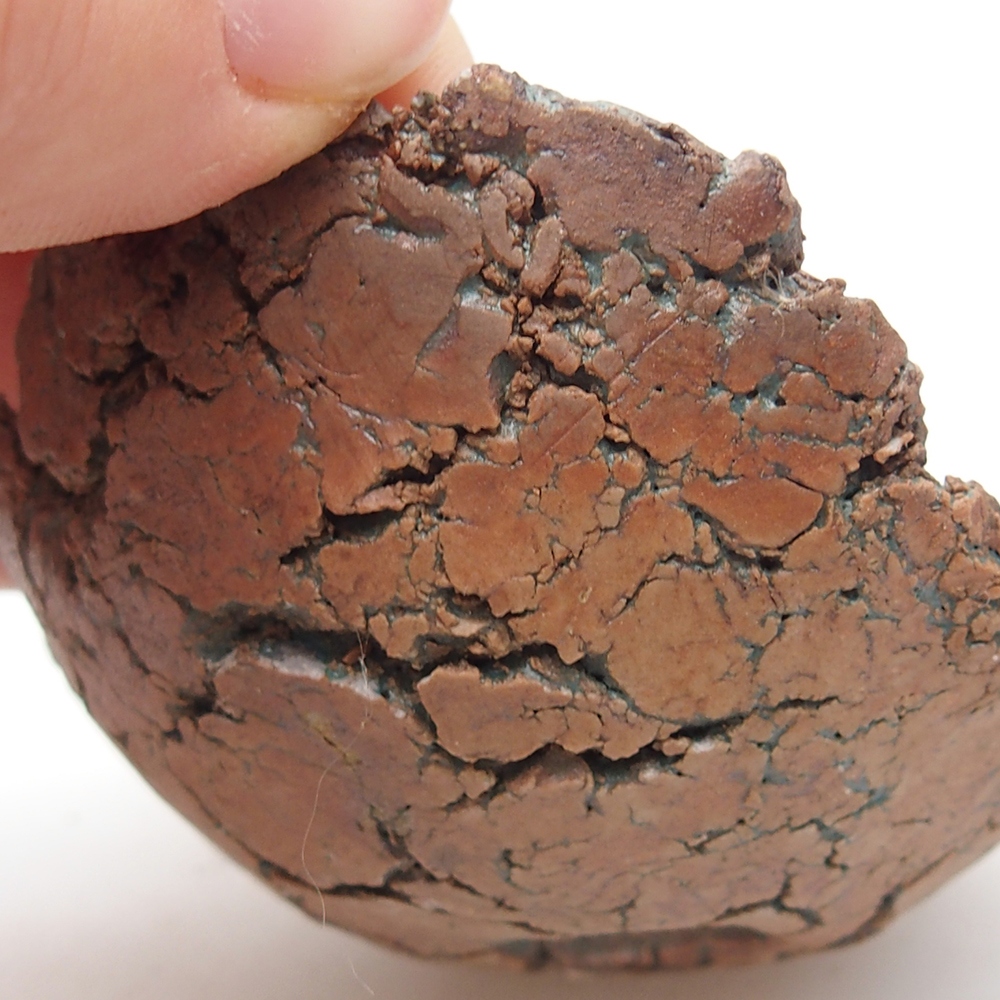 Kerámia kagyló 7,5 x 7 x 4 cm , zöld színű