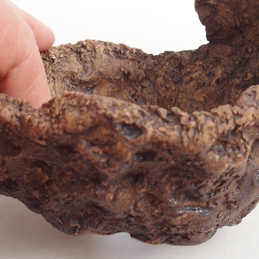 Kerámia kagyló 9,5 x 9 x 8,5 cm , színe barna