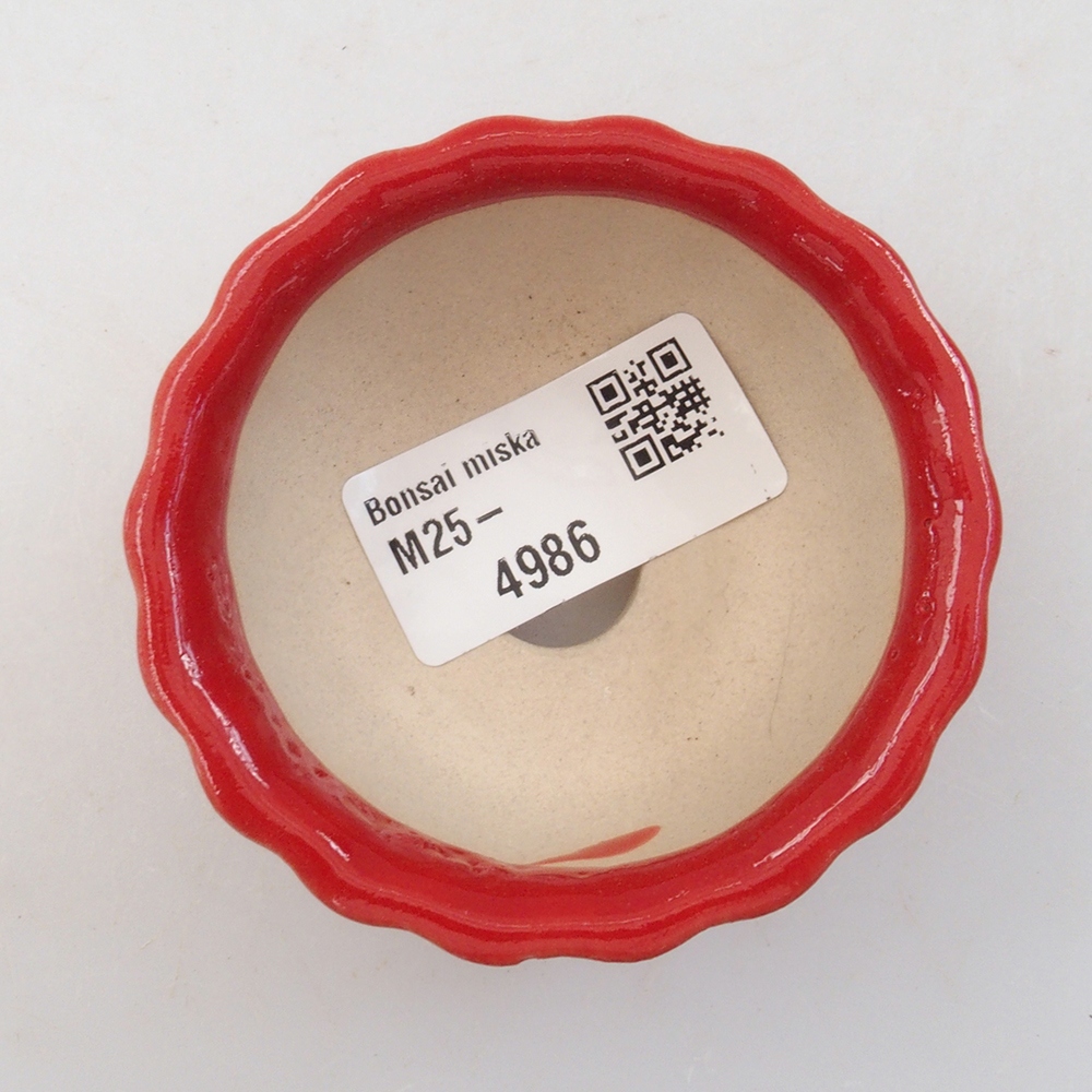 Mini bonsai tál 7 x 7 x 3,5 cm, piros színben