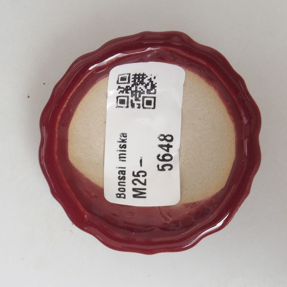 Mini bonsai tál 5 x 5 x 1,5 cm, bordó színben