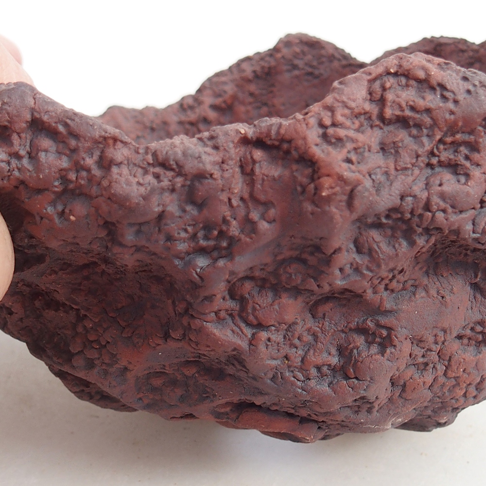 Kerámia kagyló 13 x 11 x 12 cm , színe barna