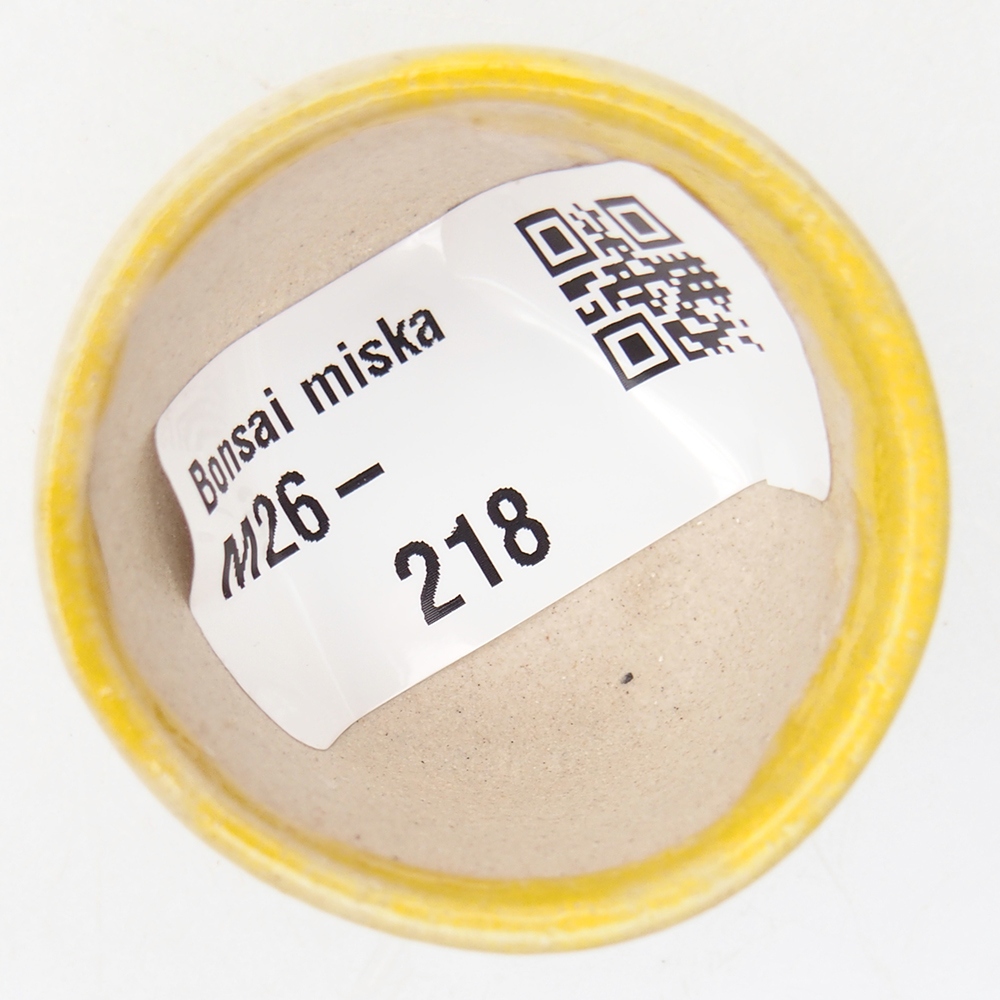 Mini bonsai tál 4 x 4 x 2,5 cm, sárga