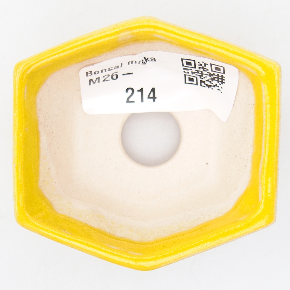 Mini bonsai tál 6 x 5,5 x 2,5 cm, sárga
